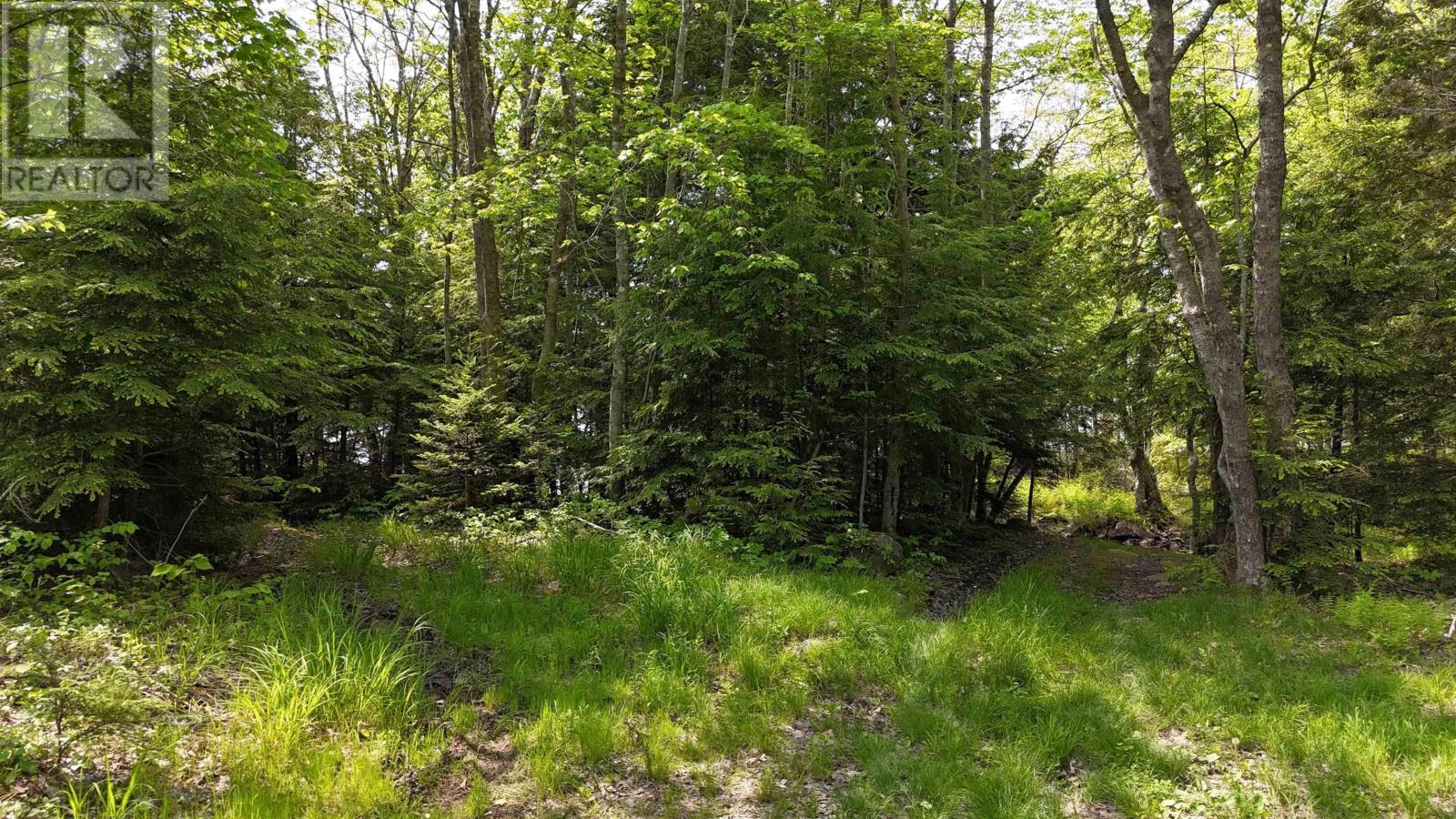 Lot Nathan Croft Road, Camperdown, Nova Scotia  B4V 6T9 - Photo 5 - 202514609