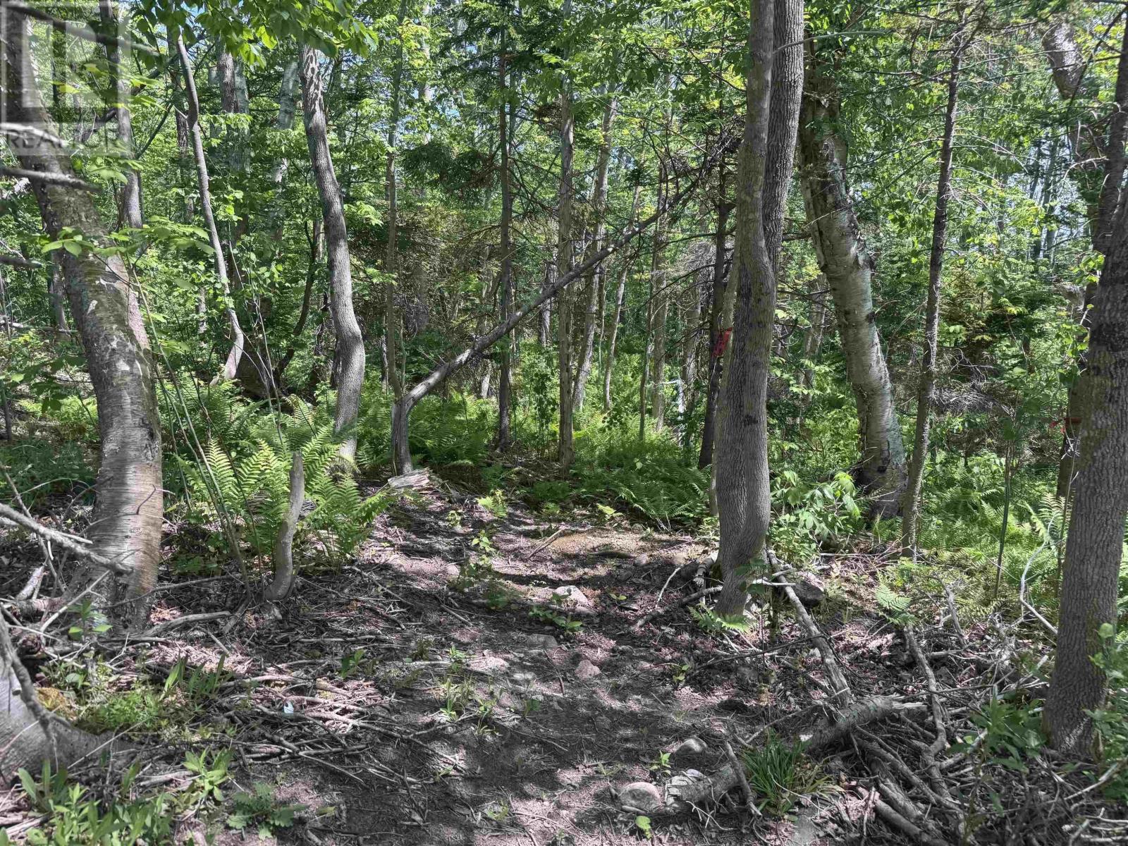 Bay St Lawrence Road, Aspy Bay, Nova Scotia  B0C 1G0 - Photo 10 - 202514664