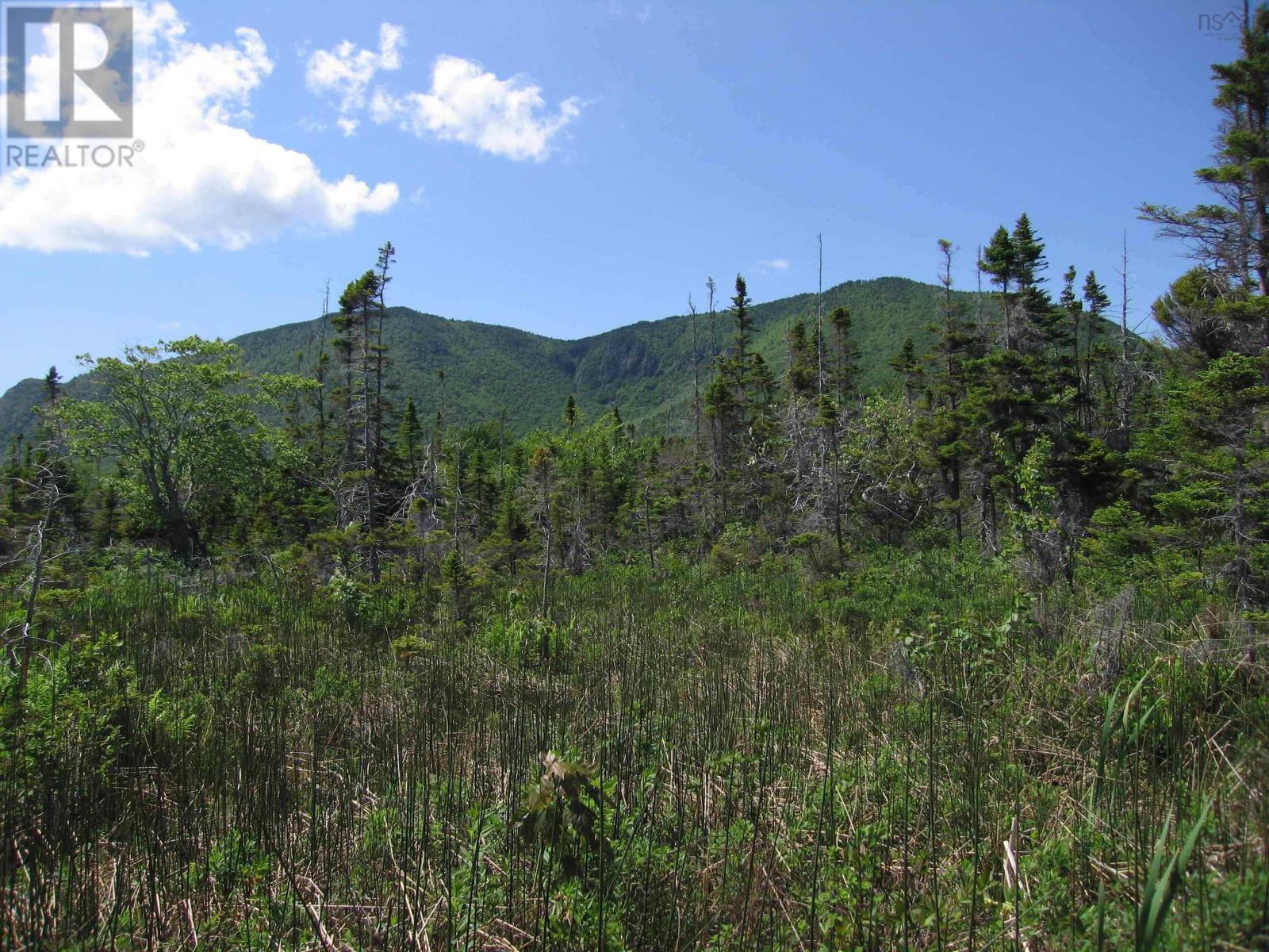 Bay St Lawrence Road, Aspy Bay, Nova Scotia  B0C 1G0 - Photo 17 - 202514664