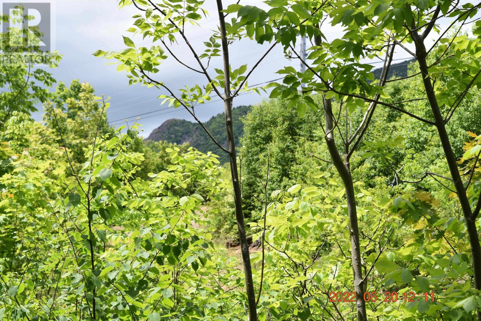 Bay St Lawrence Road, Aspy Bay, Nova Scotia  B0C 1G0 - Photo 19 - 202514664