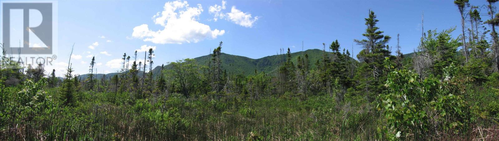 Bay St Lawrence Road, Aspy Bay, Nova Scotia  B0C 1G0 - Photo 28 - 202514664