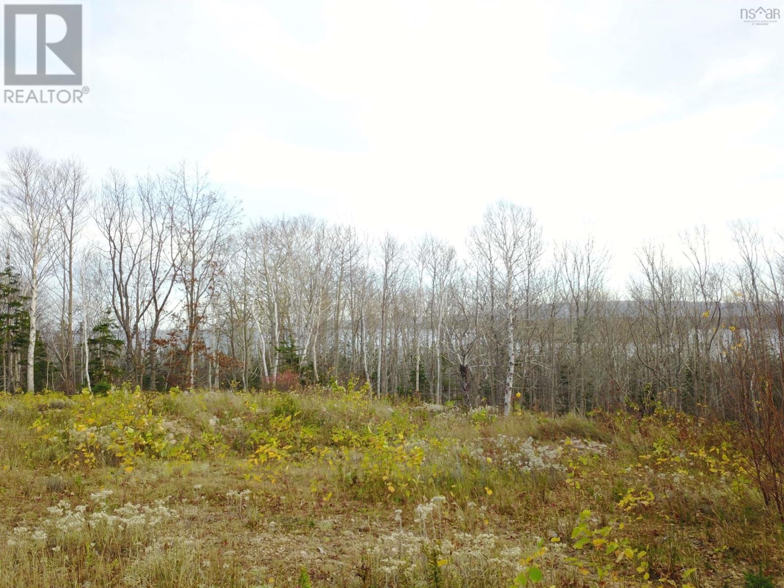 Bay St Lawrence Road, Aspy Bay, Nova Scotia  B0C 1G0 - Photo 34 - 202514664