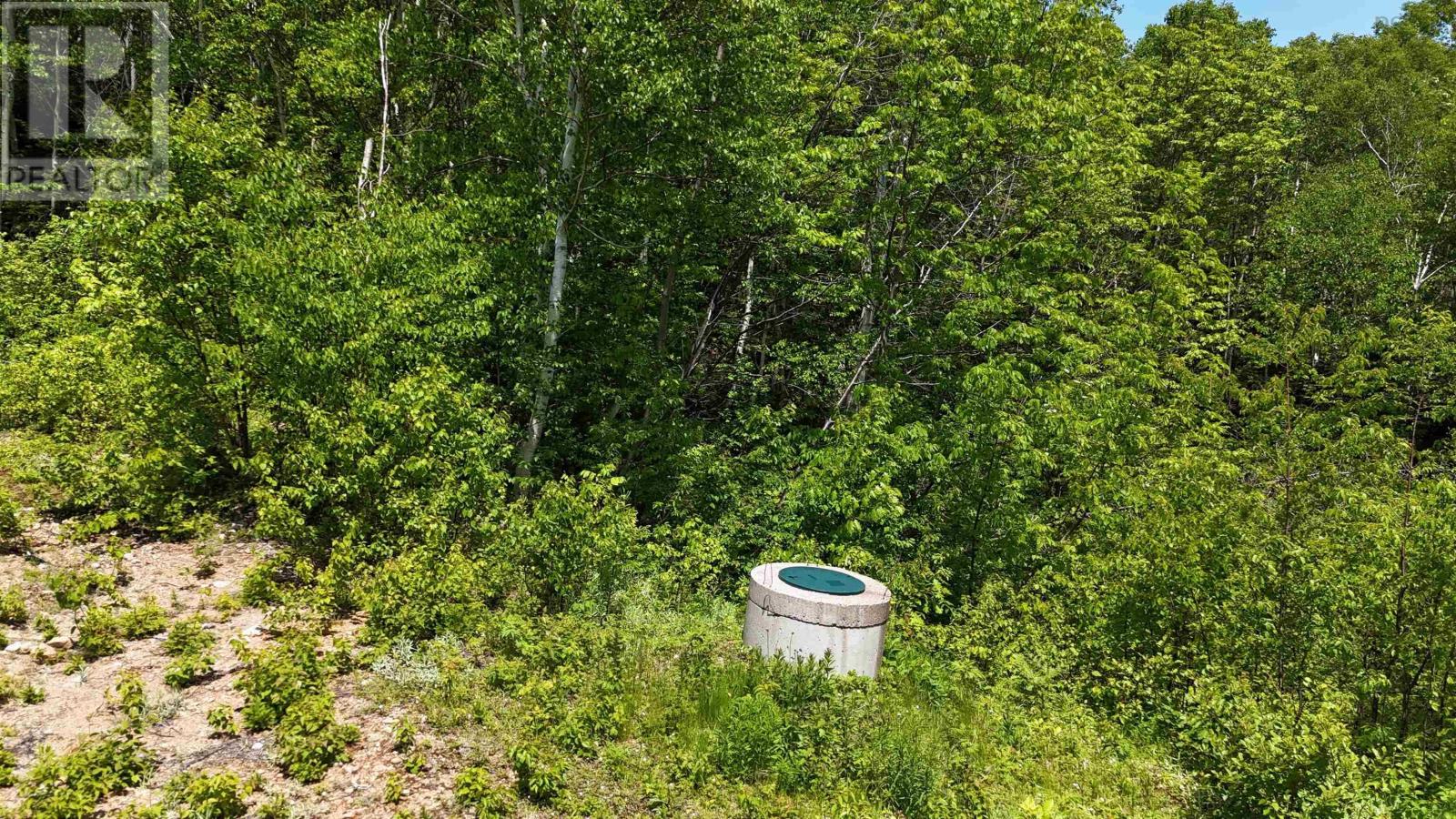 Bay St Lawrence Road, Aspy Bay, Nova Scotia  B0C 1G0 - Photo 48 - 202514664