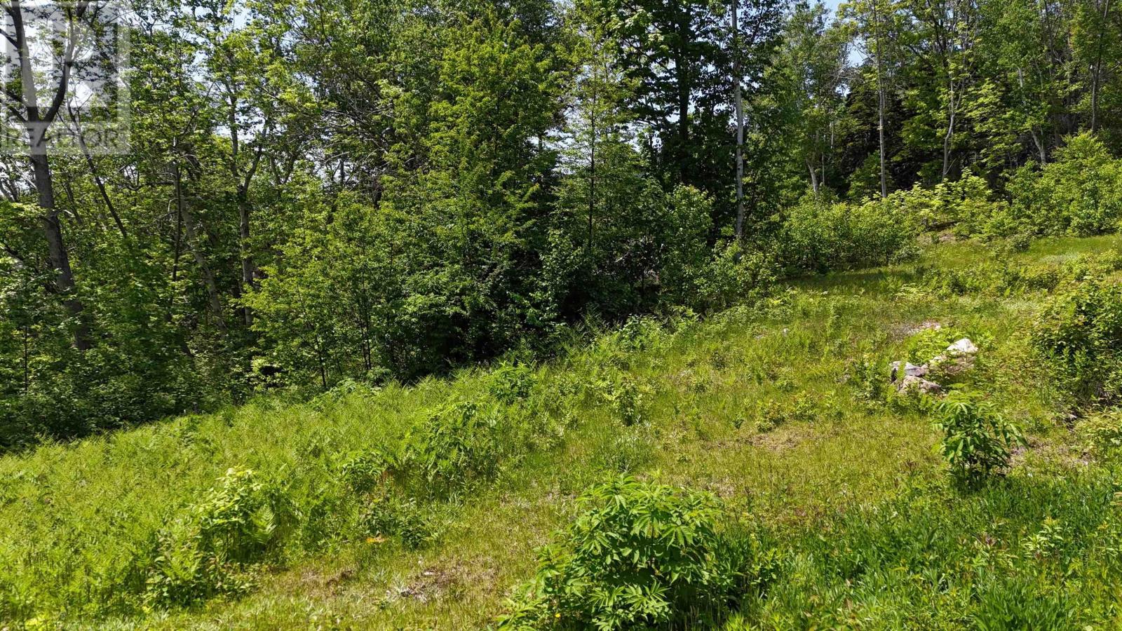 Bay St Lawrence Road, Aspy Bay, Nova Scotia  B0C 1G0 - Photo 49 - 202514664