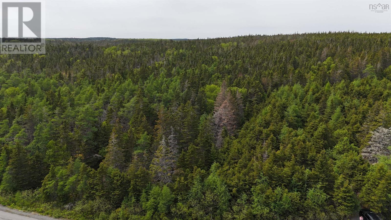 5112 St Peters Fourchu Road, St. Esprit, Nova Scotia  B0E 1M0 - Photo 11 - 202514667