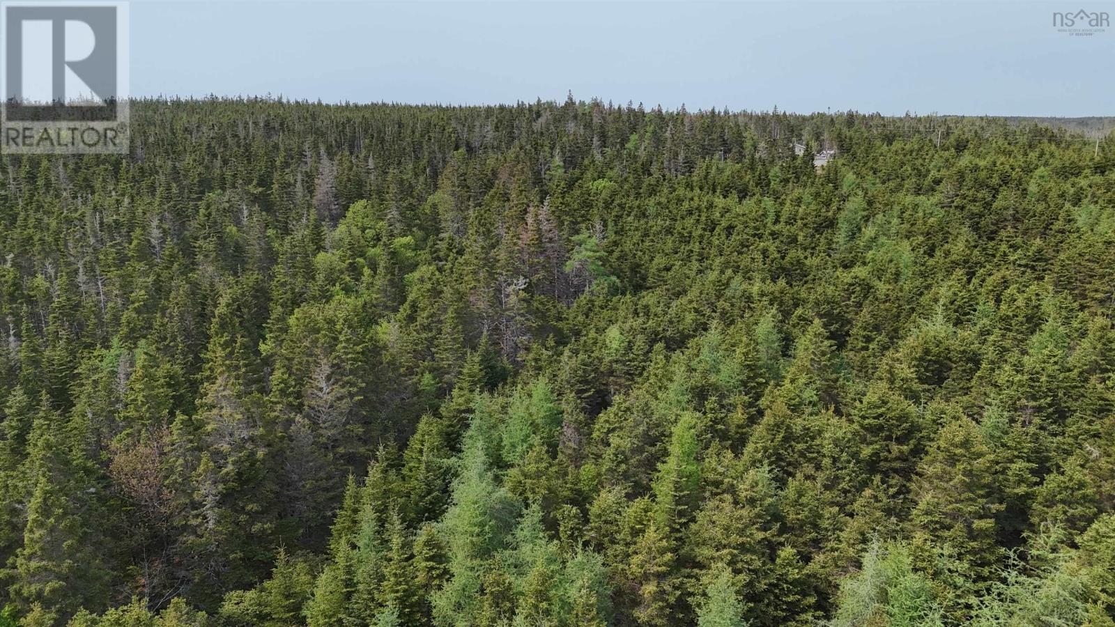 5112 St Peters Fourchu Road, St. Esprit, Nova Scotia  B0E 1M0 - Photo 12 - 202514667