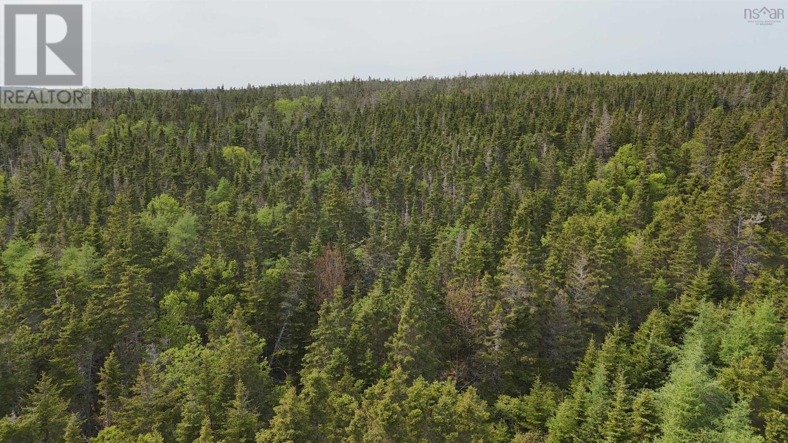 5112 St Peters Fourchu Road, St. Esprit, Nova Scotia  B0E 1M0 - Photo 14 - 202514667