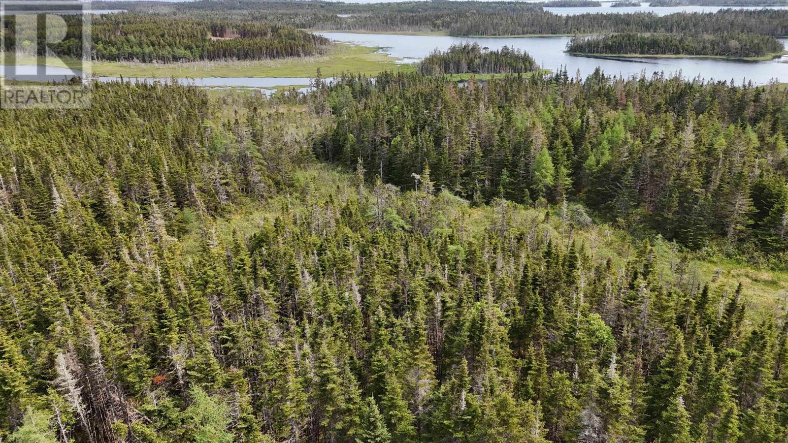 5112 St Peters Fourchu Road, St. Esprit, Nova Scotia  B0E 1M0 - Photo 5 - 202514667