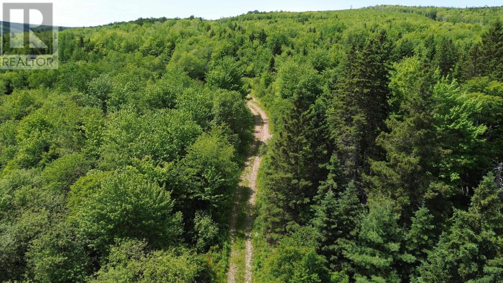 Acreage Ainslie Glen Road, Ainslie Glen, Nova Scotia  B0E 3M0 - Photo 10 - 202514737