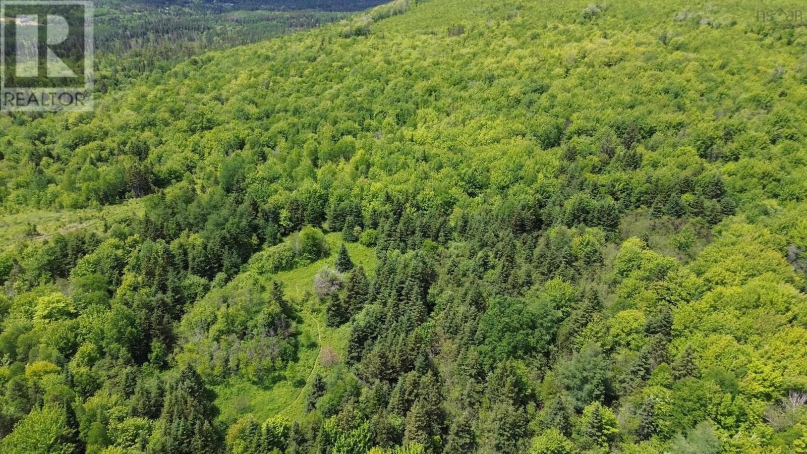 Acreage Ainslie Glen Road, Ainslie Glen, Nova Scotia  B0E 3M0 - Photo 11 - 202514737