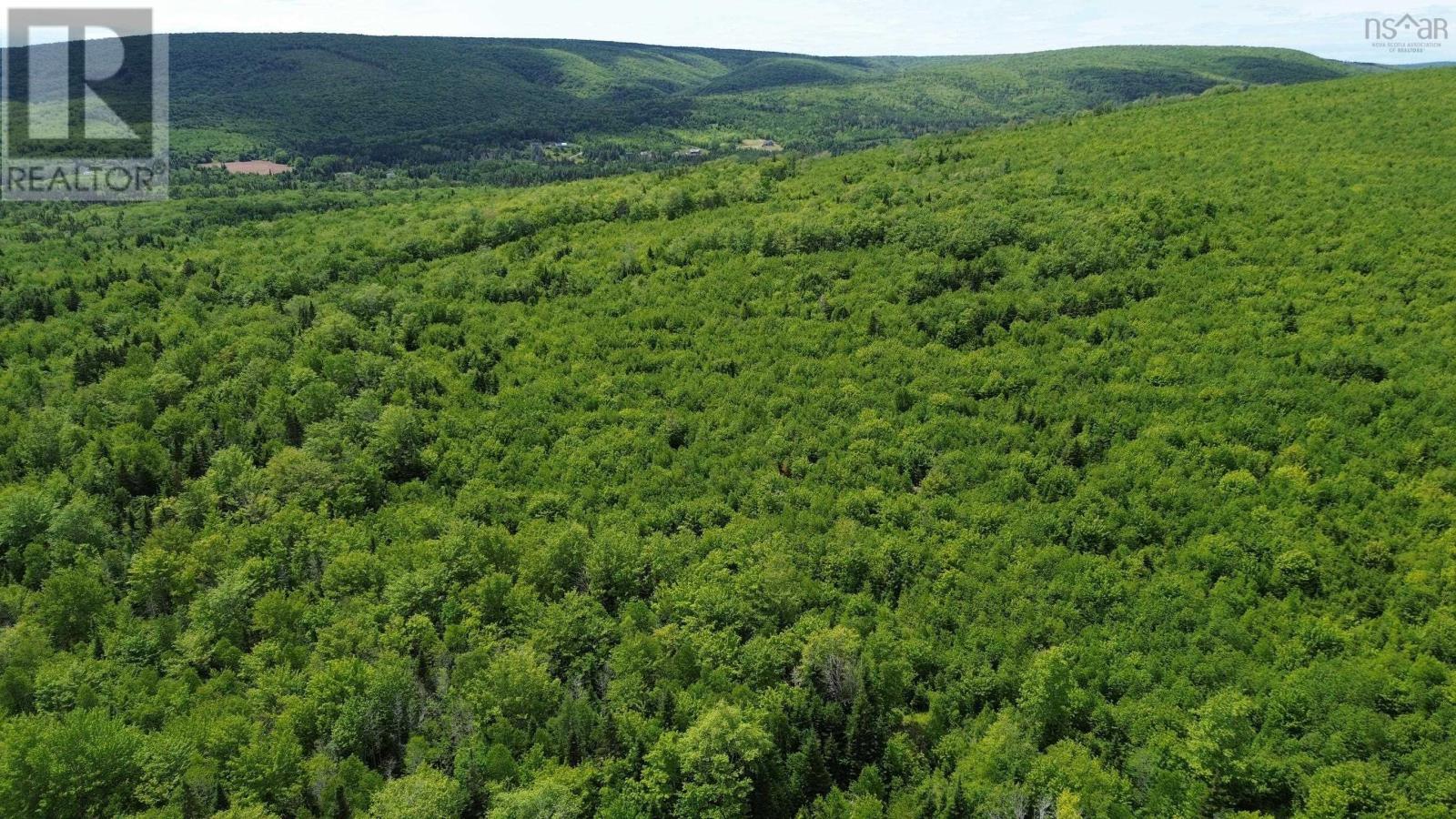 Acreage Ainslie Glen Road, Ainslie Glen, Nova Scotia  B0E 3M0 - Photo 20 - 202514737