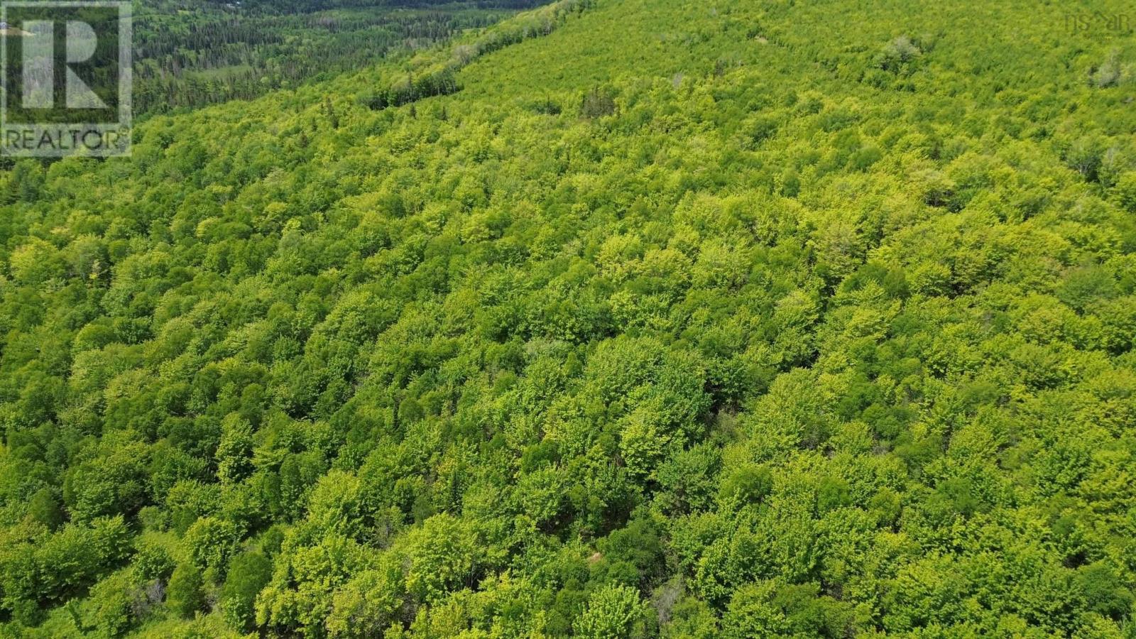 Acreage Ainslie Glen Road, Ainslie Glen, Nova Scotia  B0E 3M0 - Photo 3 - 202514737