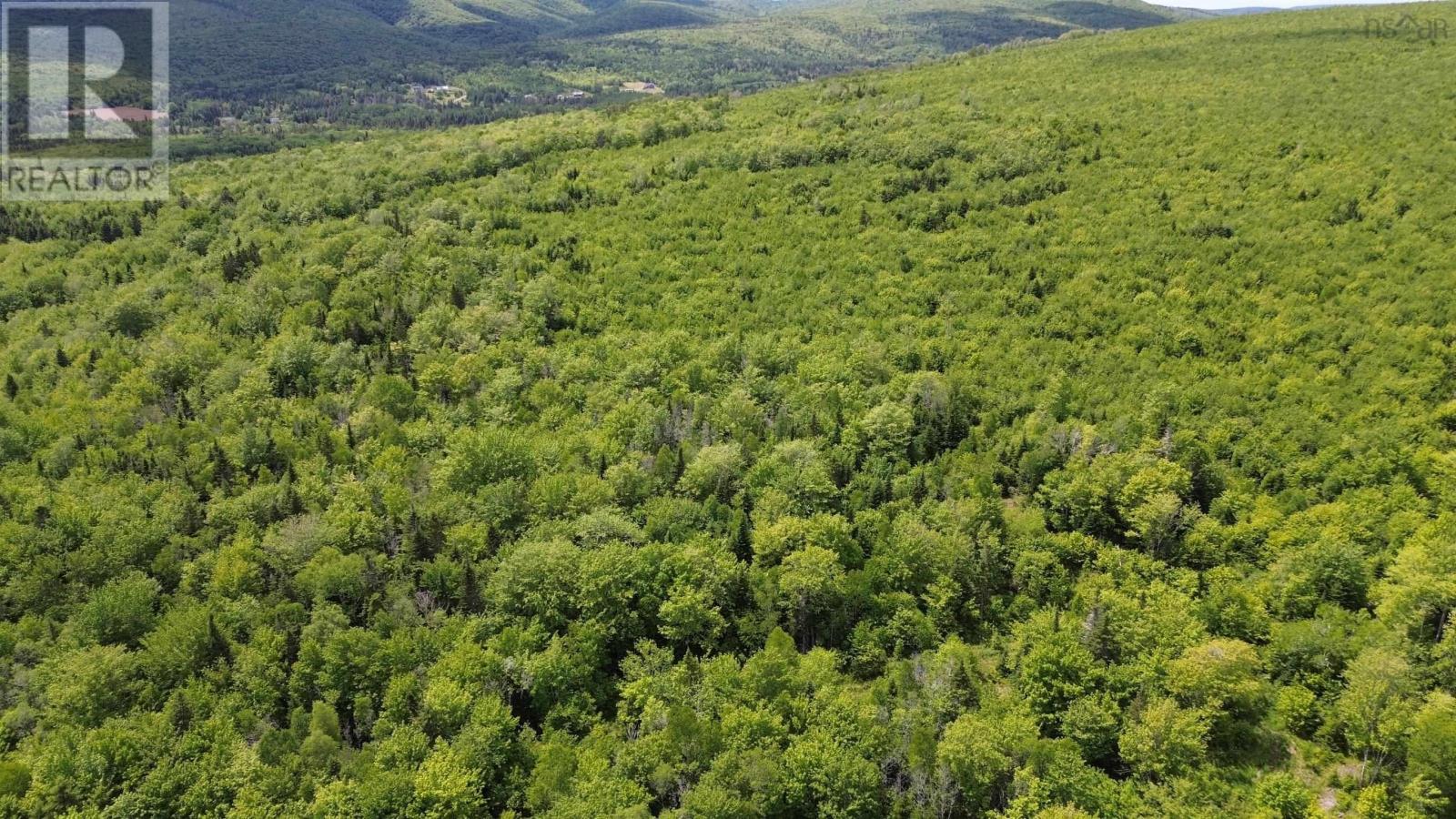 Acreage Ainslie Glen Road, Ainslie Glen, Nova Scotia  B0E 3M0 - Photo 34 - 202514737