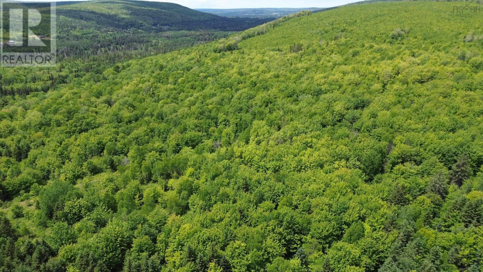 Acreage Ainslie Glen Road, Ainslie Glen, Nova Scotia  B0E 3M0 - Photo 38 - 202514737