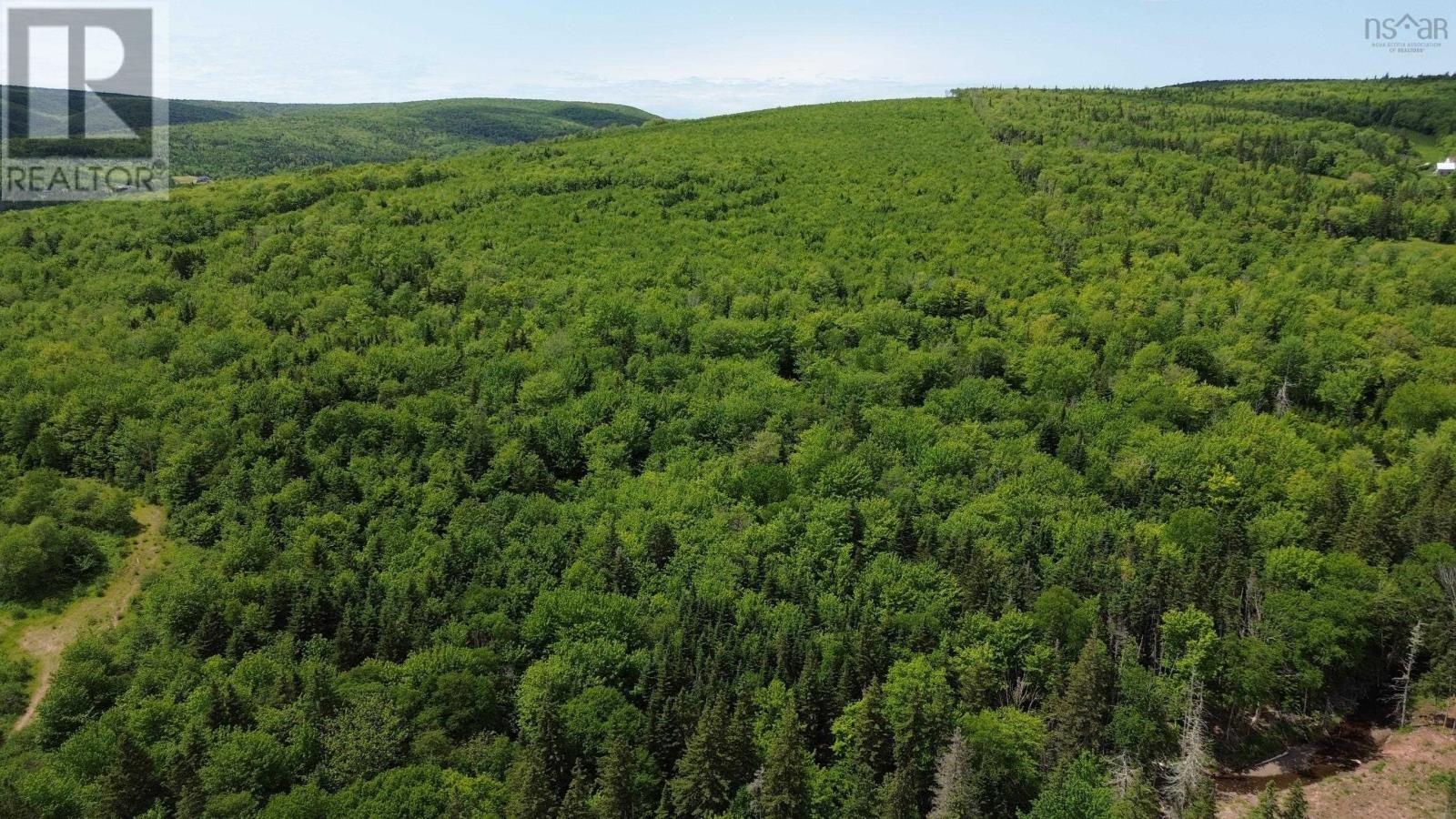 Acreage Ainslie Glen Road, Ainslie Glen, Nova Scotia  B0E 3M0 - Photo 4 - 202514737