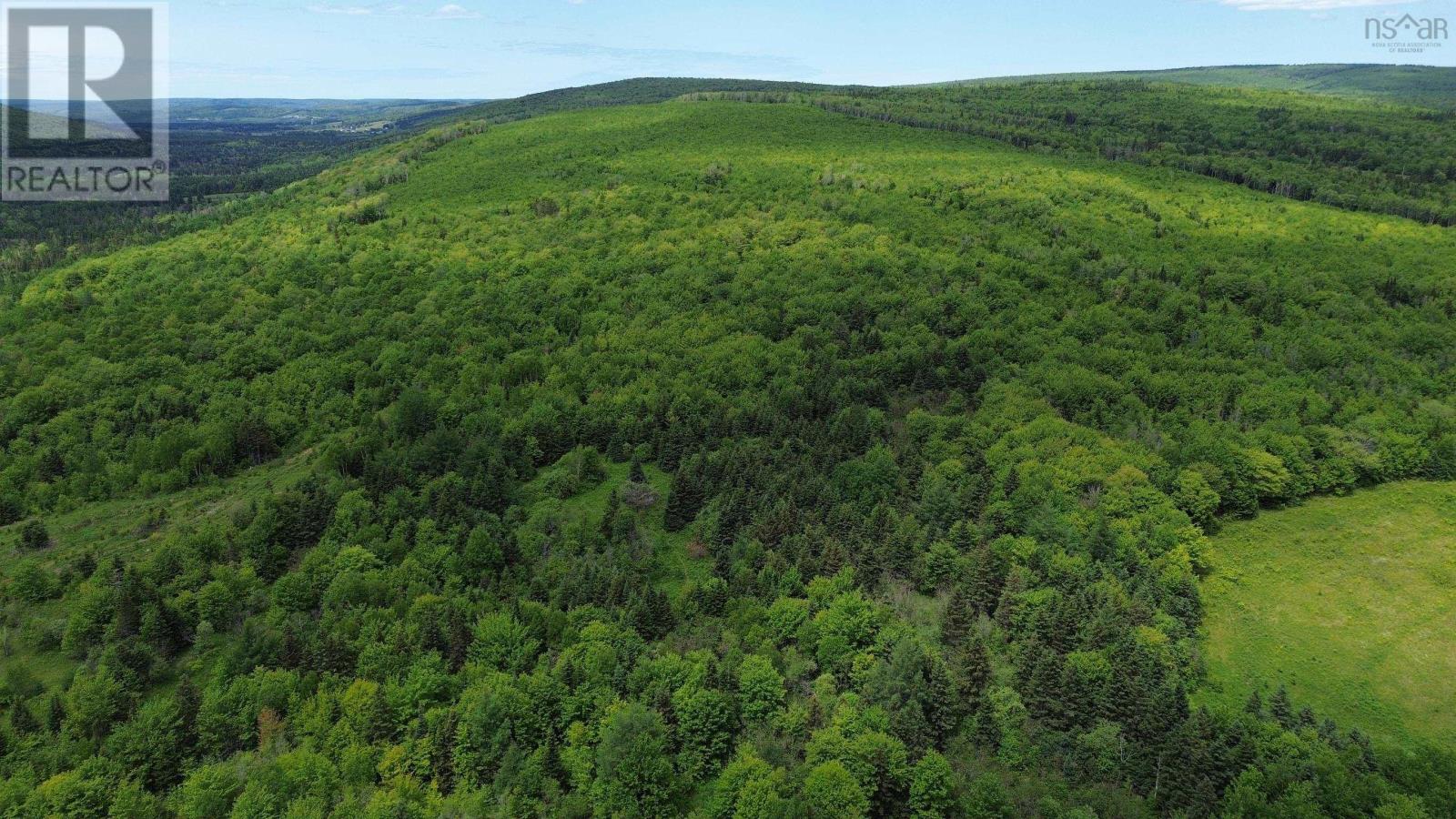 Acreage Ainslie Glen Road, Ainslie Glen, Nova Scotia  B0E 3M0 - Photo 40 - 202514737