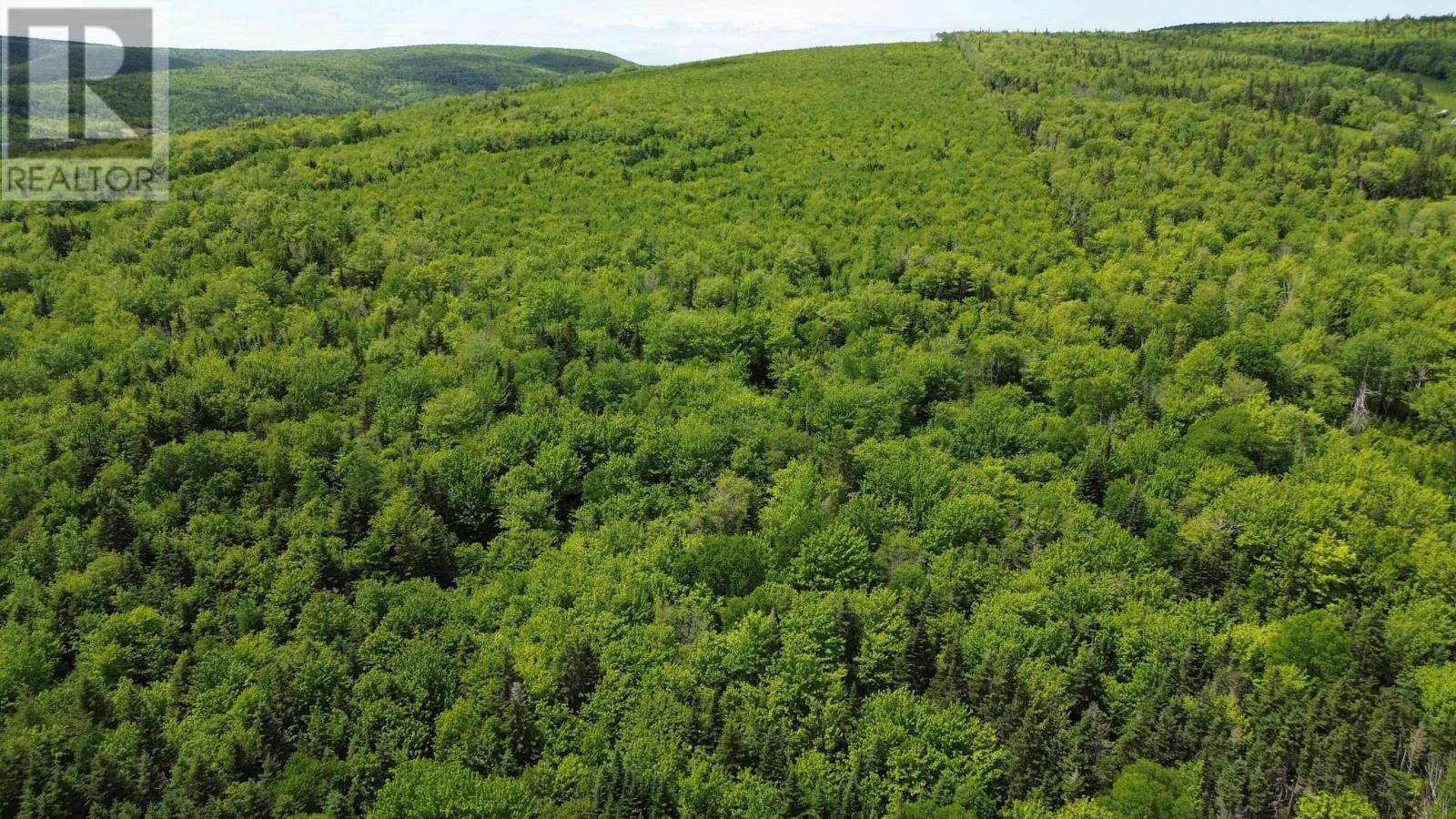 Acreage Ainslie Glen Road, Ainslie Glen, Nova Scotia  B0E 3M0 - Photo 41 - 202514737