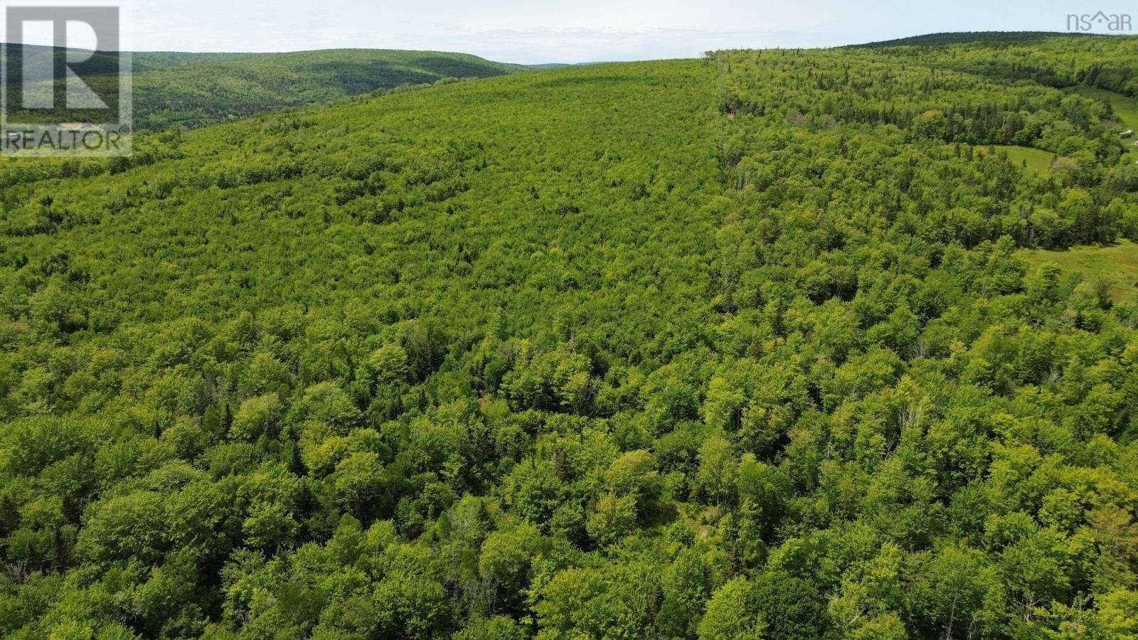 Acreage Ainslie Glen Road, Ainslie Glen, Nova Scotia  B0E 3M0 - Photo 8 - 202514737