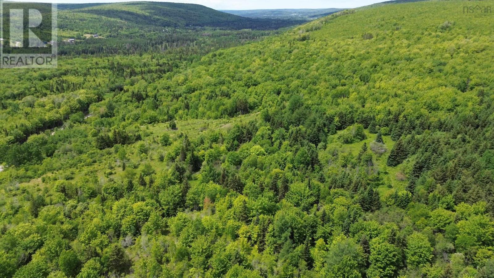 Acreage Ainslie Glen Road, Ainslie Glen, Nova Scotia  B0E 3M0 - Photo 9 - 202514737