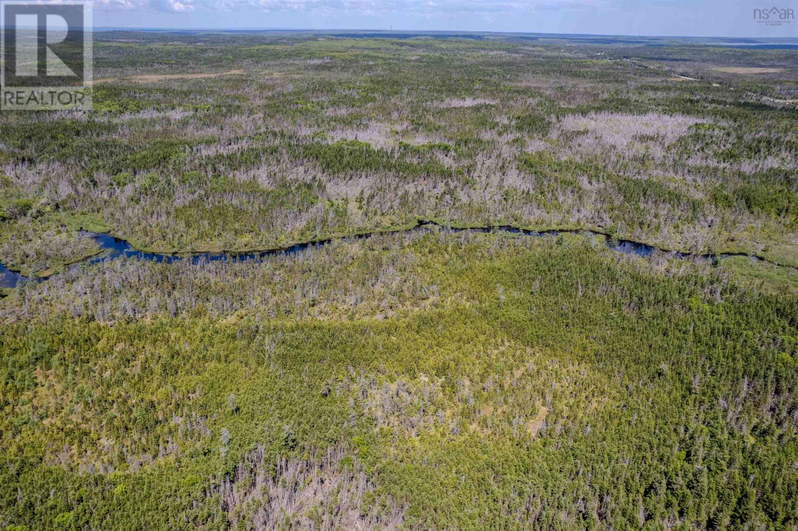 0 No. Louisbourg Highway, Louisbourg, Nova Scotia  B1C 2G2 - Photo 4 - 202514777
