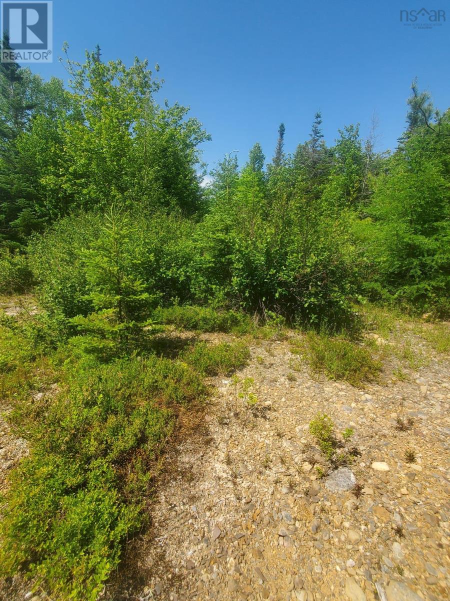 Lot 74 - R8 Road, New Chester, Nova Scotia  B0J 2K0 - Photo 2 - 202515123