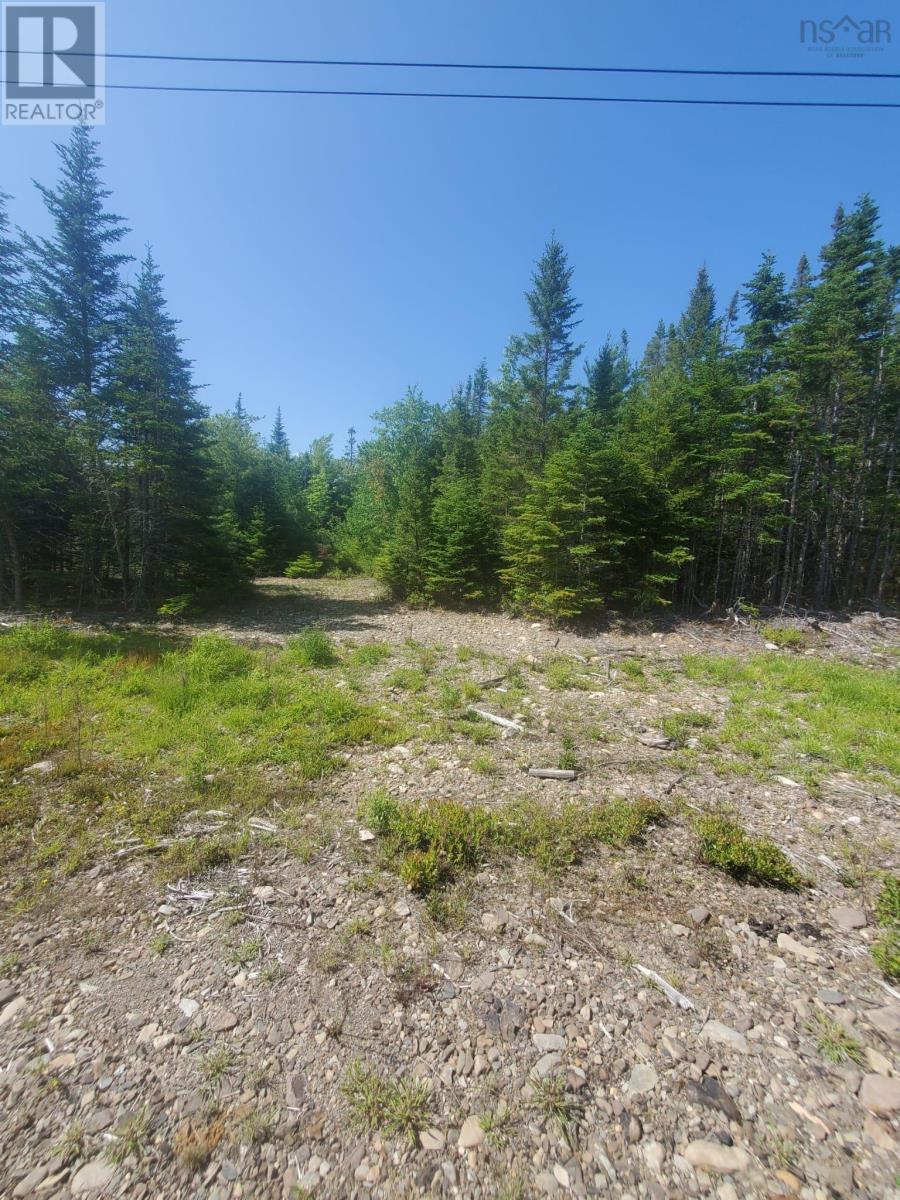 Lot 74 - R8 Road, New Chester, Nova Scotia  B0J 2K0 - Photo 5 - 202515123