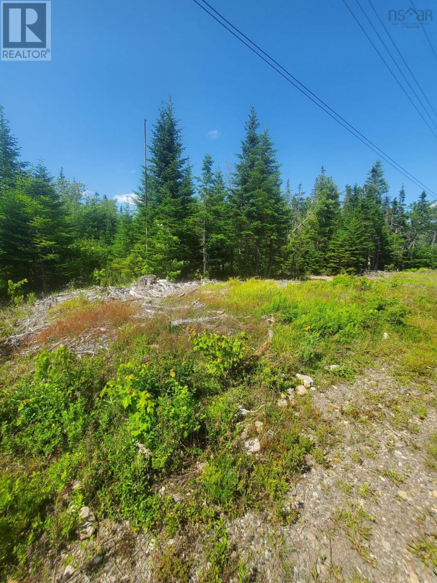 Lot 74 - R8 Road, New Chester, Nova Scotia  B0J 2K0 - Photo 6 - 202515123