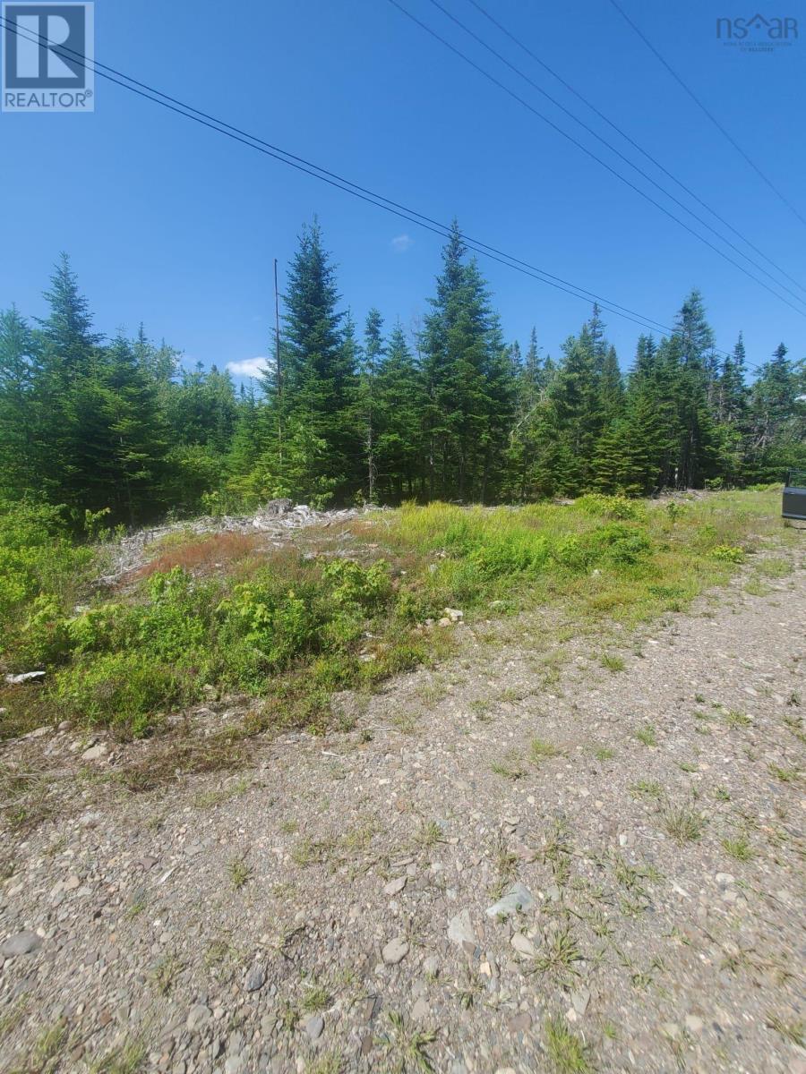 Lot 74 - R8 Road, New Chester, Nova Scotia  B0J 2K0 - Photo 7 - 202515123
