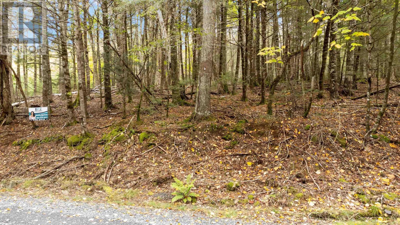 Lot 36 Beaver Dam Crossover, Labelle, Nova Scotia  B0T 1E0 - Photo 11 - 202515175