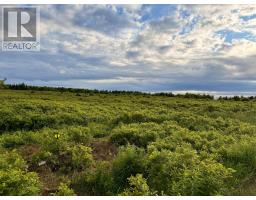 CHEMIN SIMEON AUCOIN Road, st. joseph du moine, Nova Scotia