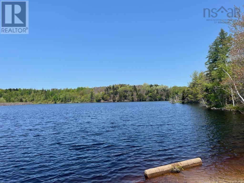 1115 Weymouth Falls Road, Weymouth, Nova Scotia  B0W 3T0 - Photo 25 - 202515235