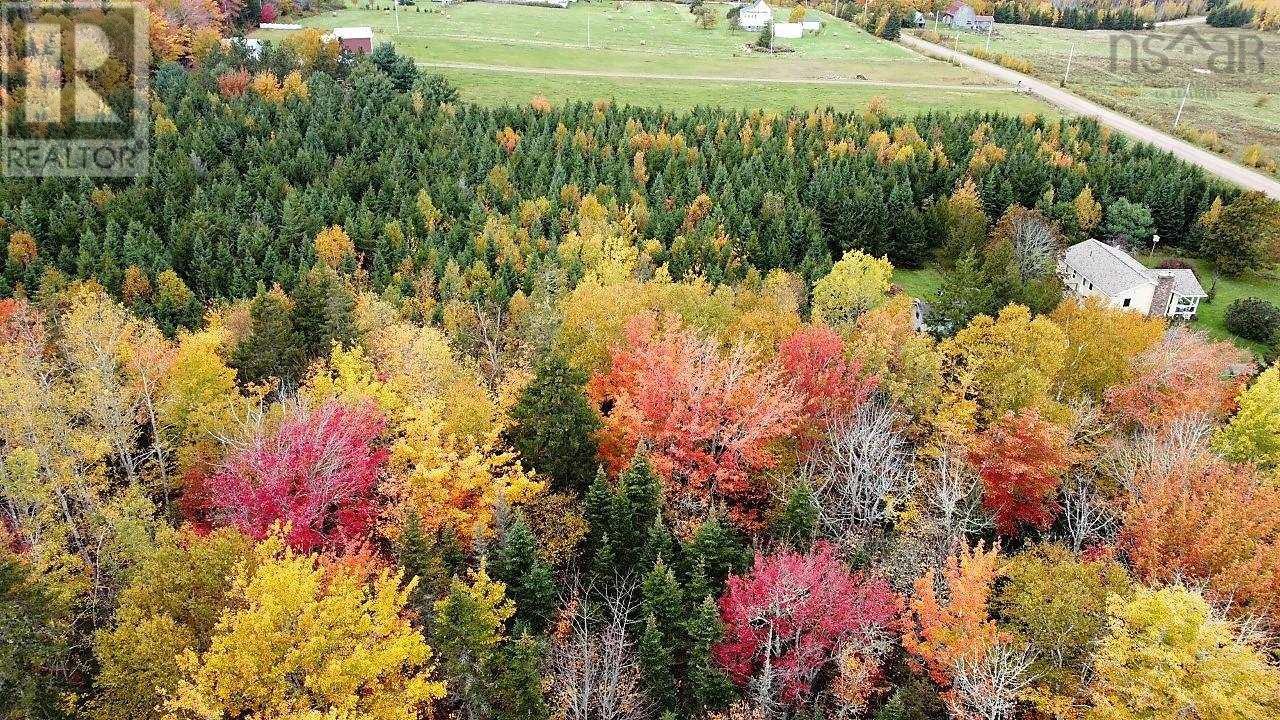 80-2 Carroll Crescent, Brookdale, Nova Scotia  B4H 3Y1 - Photo 10 - 202515264