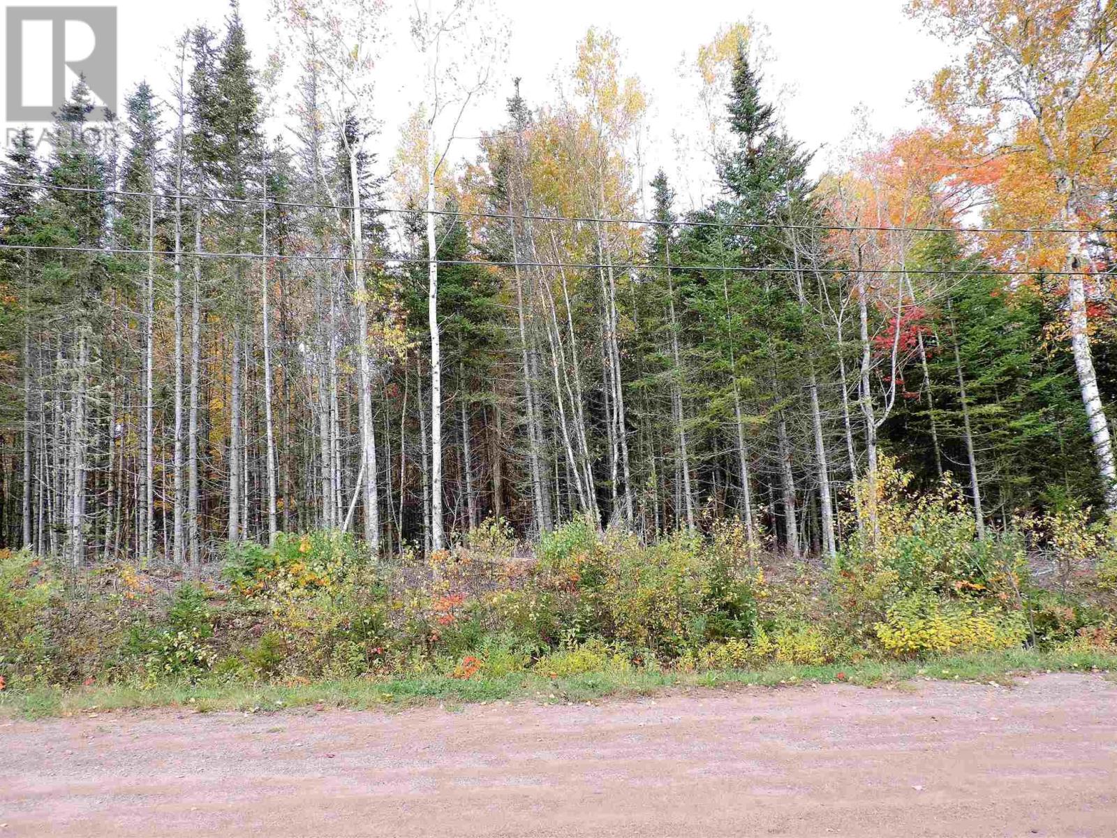 80-2 Carroll Crescent, Brookdale, Nova Scotia  B4H 3Y1 - Photo 5 - 202515264