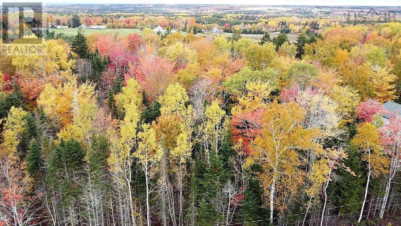 80-2 Carroll Crescent, Brookdale, Nova Scotia  B4H 3Y1 - Photo 9 - 202515264