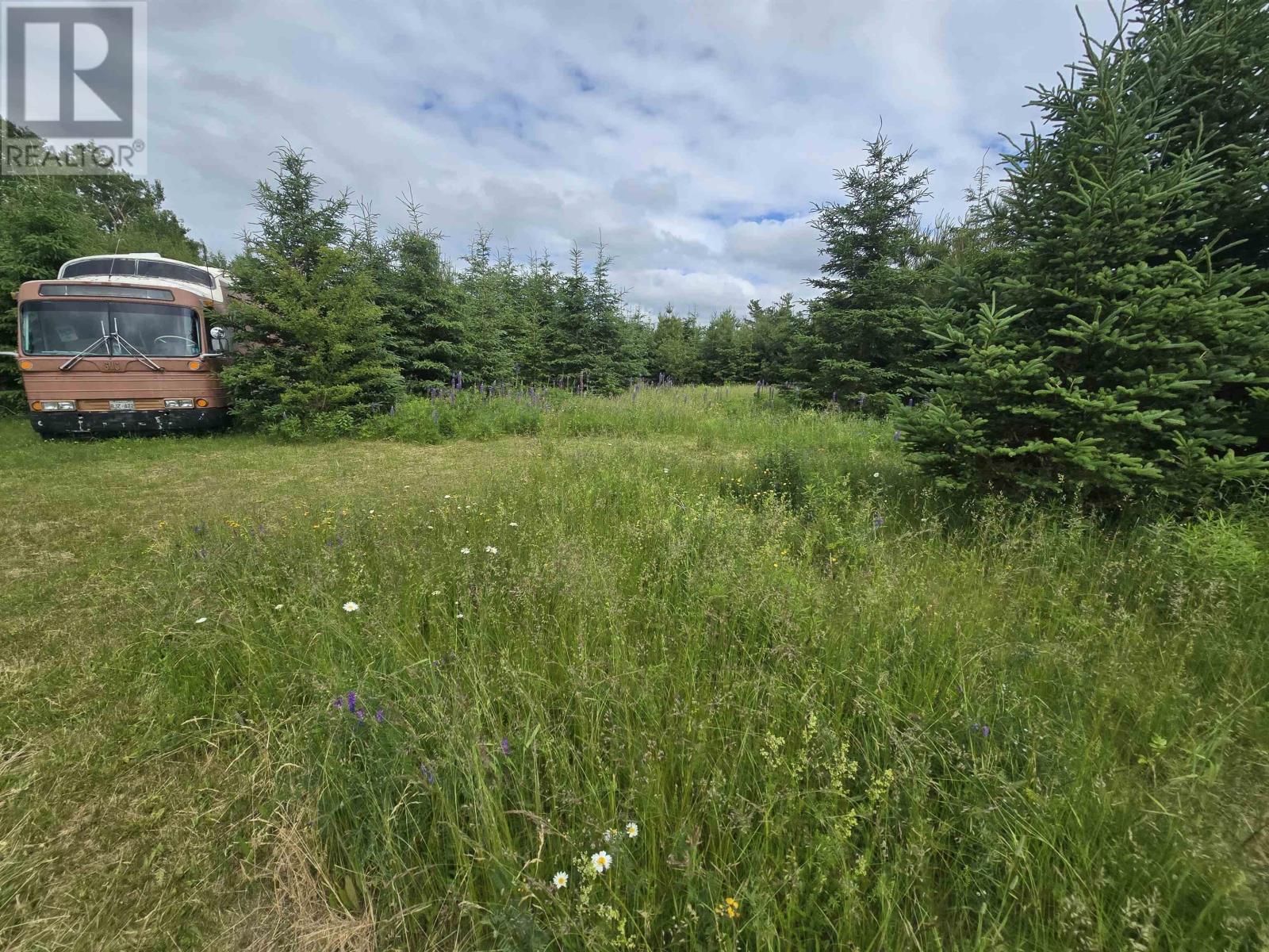 Lot 6 41 Brule Shore Road, Barrachois, Nova Scotia  B0K 1V0 - Photo 4 - 202515320