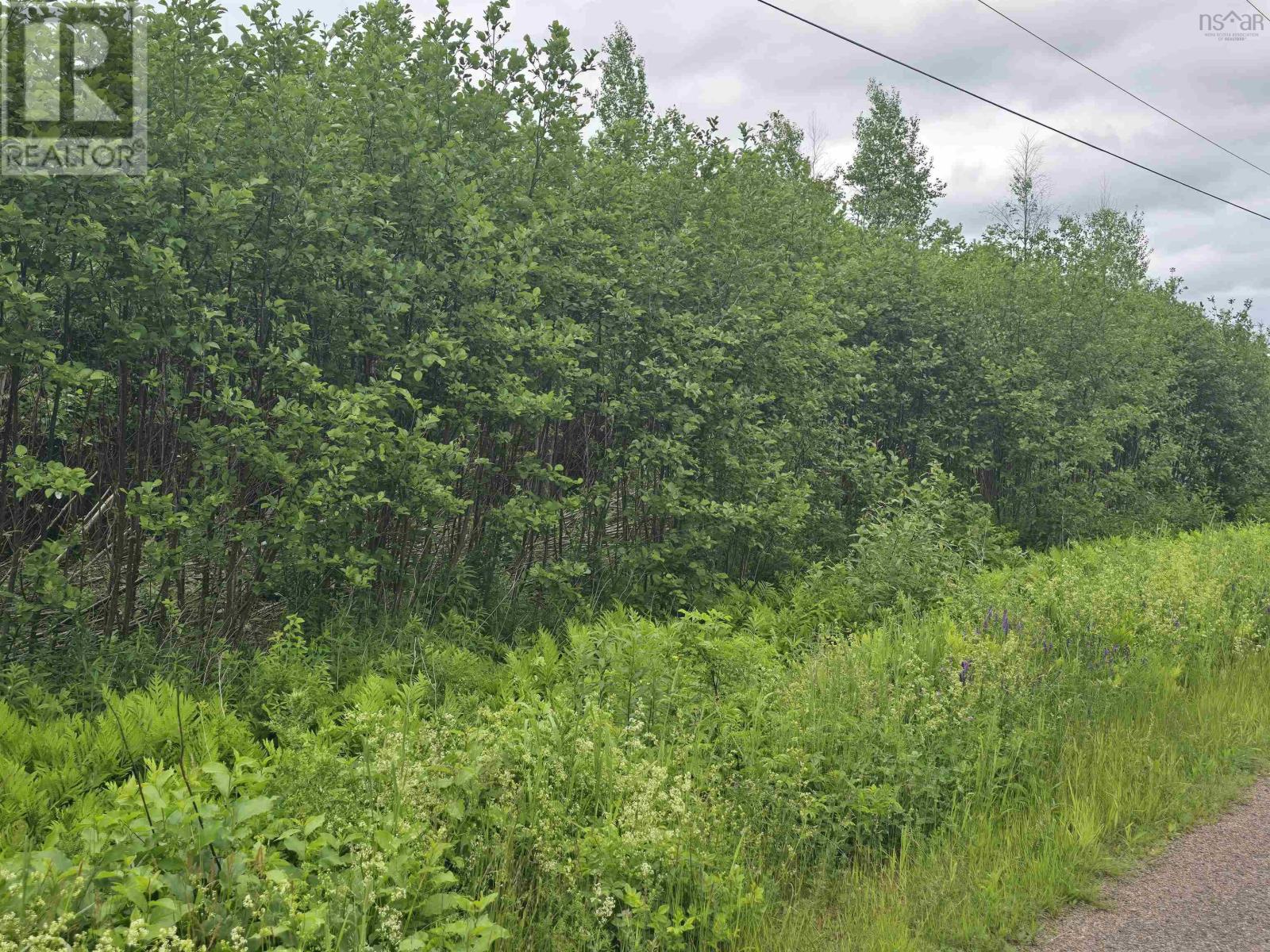 Lot 6 41 Brule Shore Road, Barrachois, Nova Scotia  B0K 1V0 - Photo 7 - 202515320