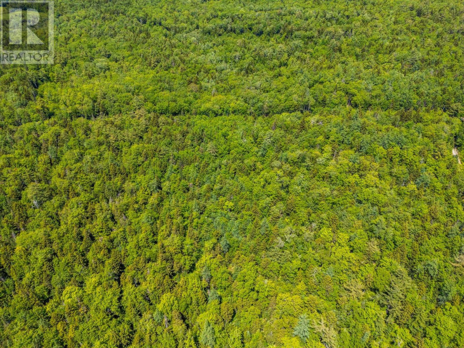 Lot 4 Depot Road, East Kemptville, Nova Scotia  B5A 5P7 - Photo 11 - 202515394