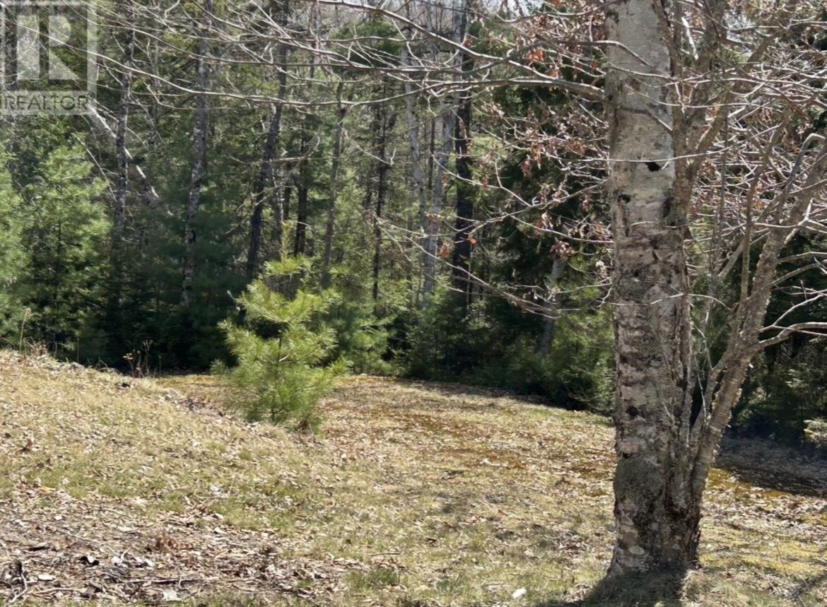 Lot 1 51 Lead Mines Road, Glenelg, Nova Scotia  B0H 1E0 - Photo 10 - 202515442