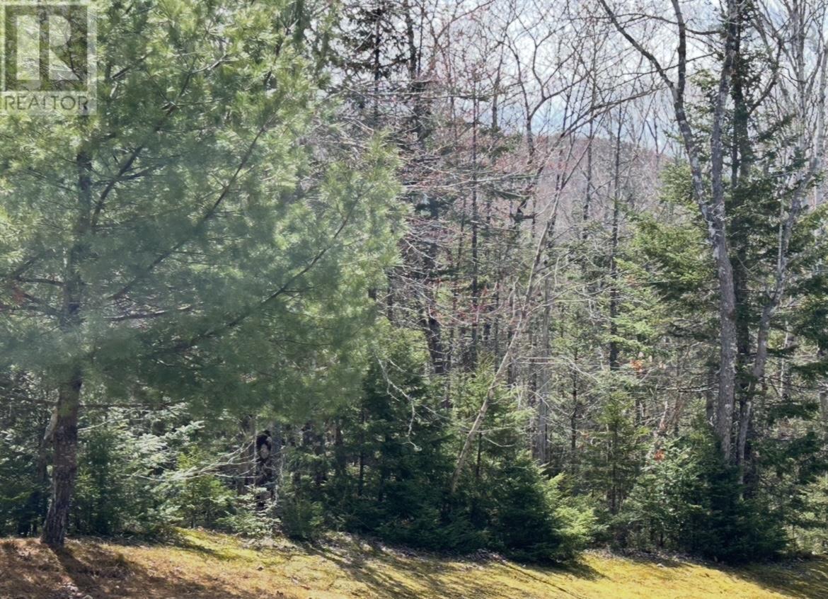 Lot 1 51 Lead Mines Road, Glenelg, Nova Scotia  B0H 1E0 - Photo 17 - 202515442