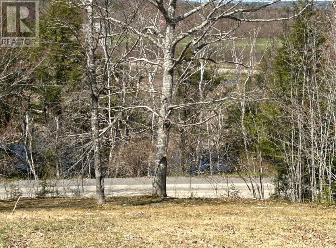 Lot 1 51 Lead Mines Road, Glenelg, Nova Scotia  B0H 1E0 - Photo 3 - 202515442