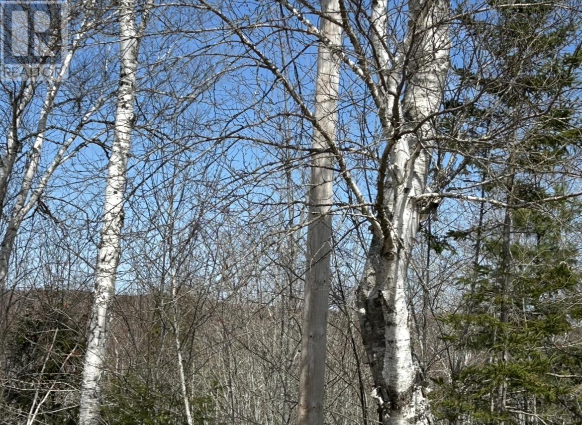 Lot 1 51 Lead Mines Road, Glenelg, Nova Scotia  B0H 1E0 - Photo 4 - 202515442