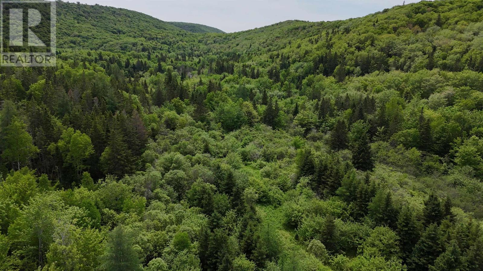 101 Ferguson Road, Kewstoke, Nova Scotia  B0E 3M0 - Photo 8 - 202515447