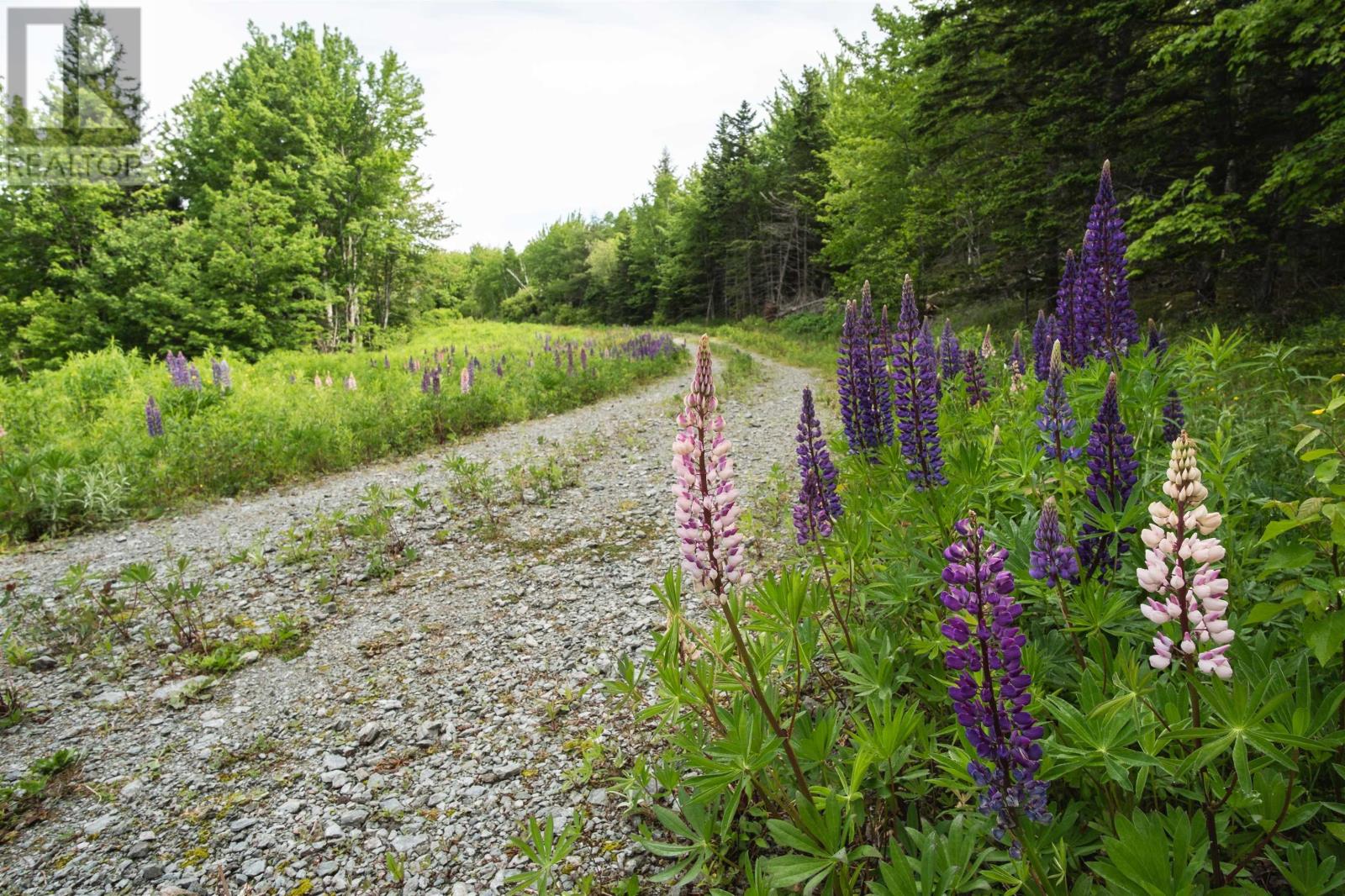 Highway 19, Glenville, Nova Scotia  B0E 1N0 - Photo 19 - 202515635