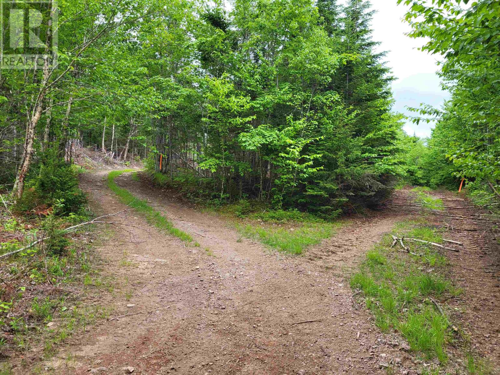 7219 Kemptown, Kemptown, Nova Scotia  B2N 5B1 - Photo 2 - 202515712