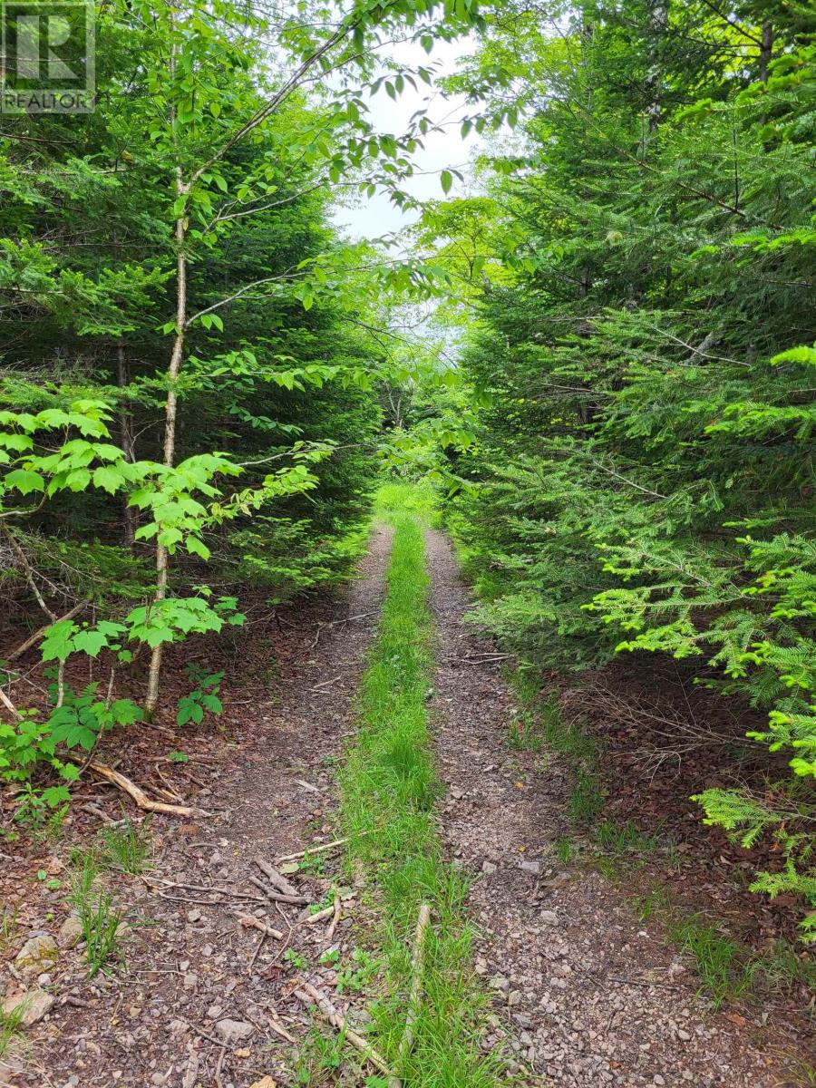 7219 Kemptown, Kemptown, Nova Scotia  B2N 5B1 - Photo 4 - 202515712