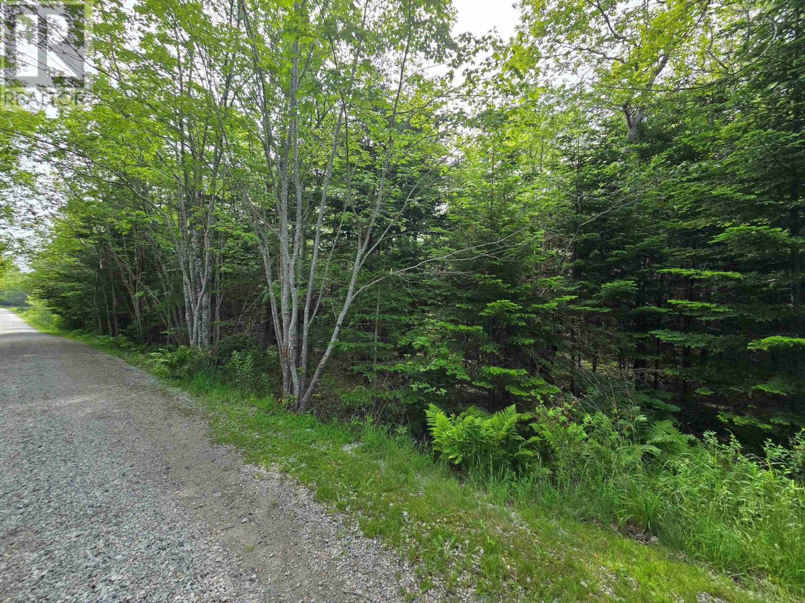 Lot Main Shore Road, North Chegoggin, Nova Scotia  B5A 5H3 - Photo 3 - 202515815