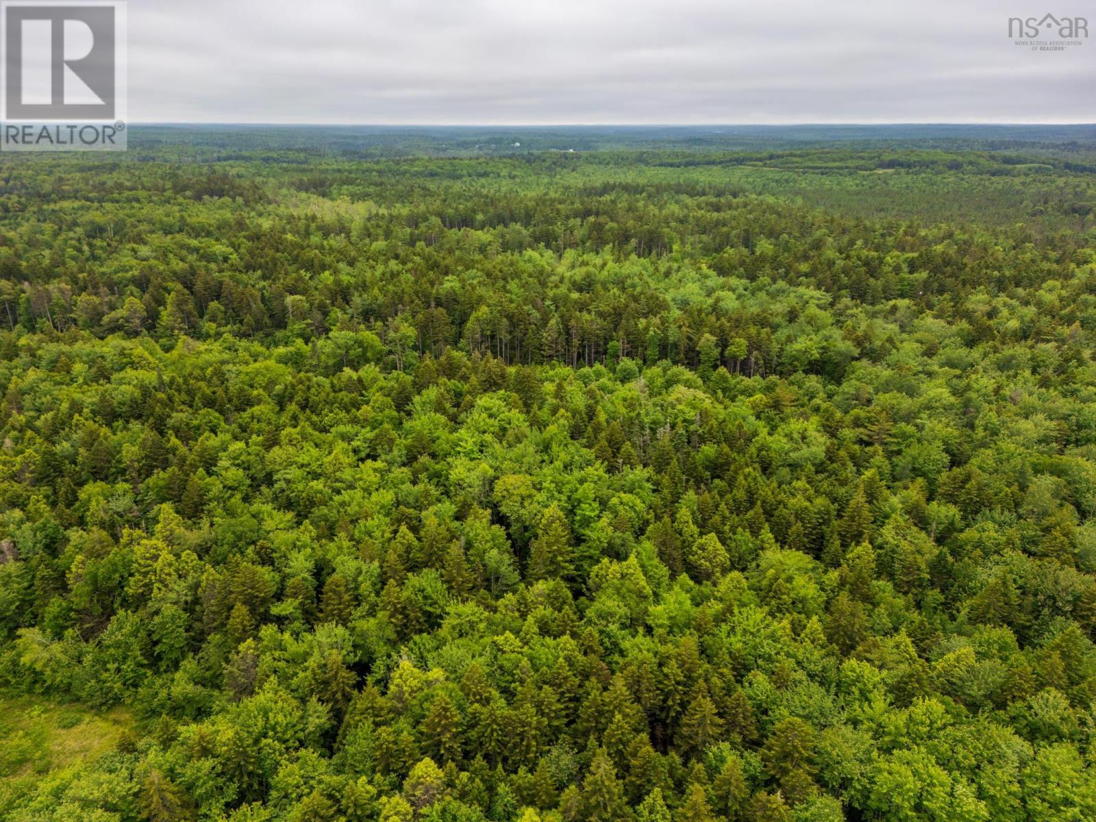 Lots Isadore Thibeau Road, Concession, Nova Scotia  B0W 1M0 - Photo 32 - 202515816