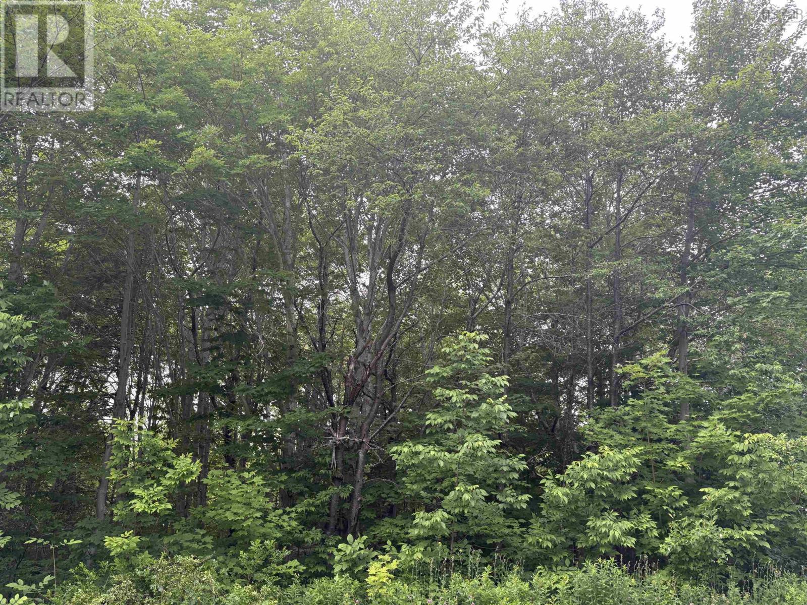 0 Highway 395, East Lake Ainslie, Nova Scotia  B0E 3M0 - Photo 3 - 202515891