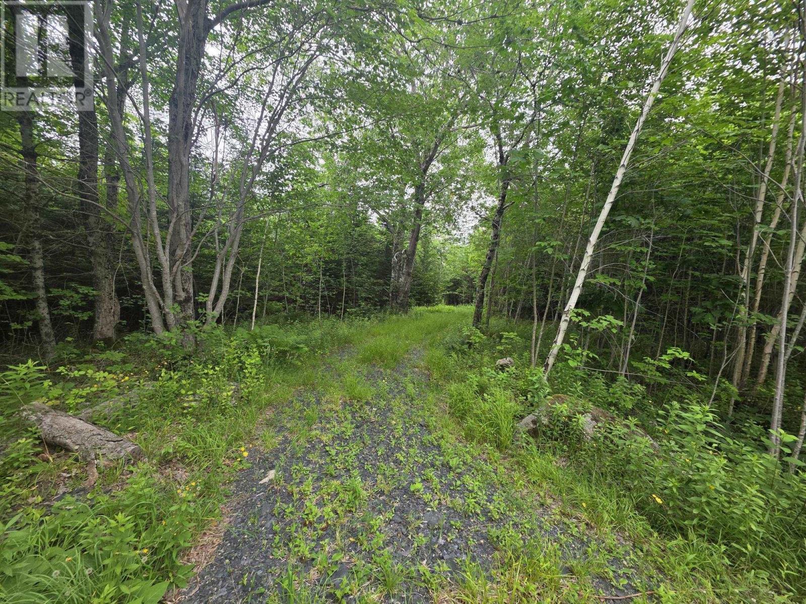 Clark Road, Bear River, Nova Scotia  B0S 1B0 - Photo 14 - 202515916