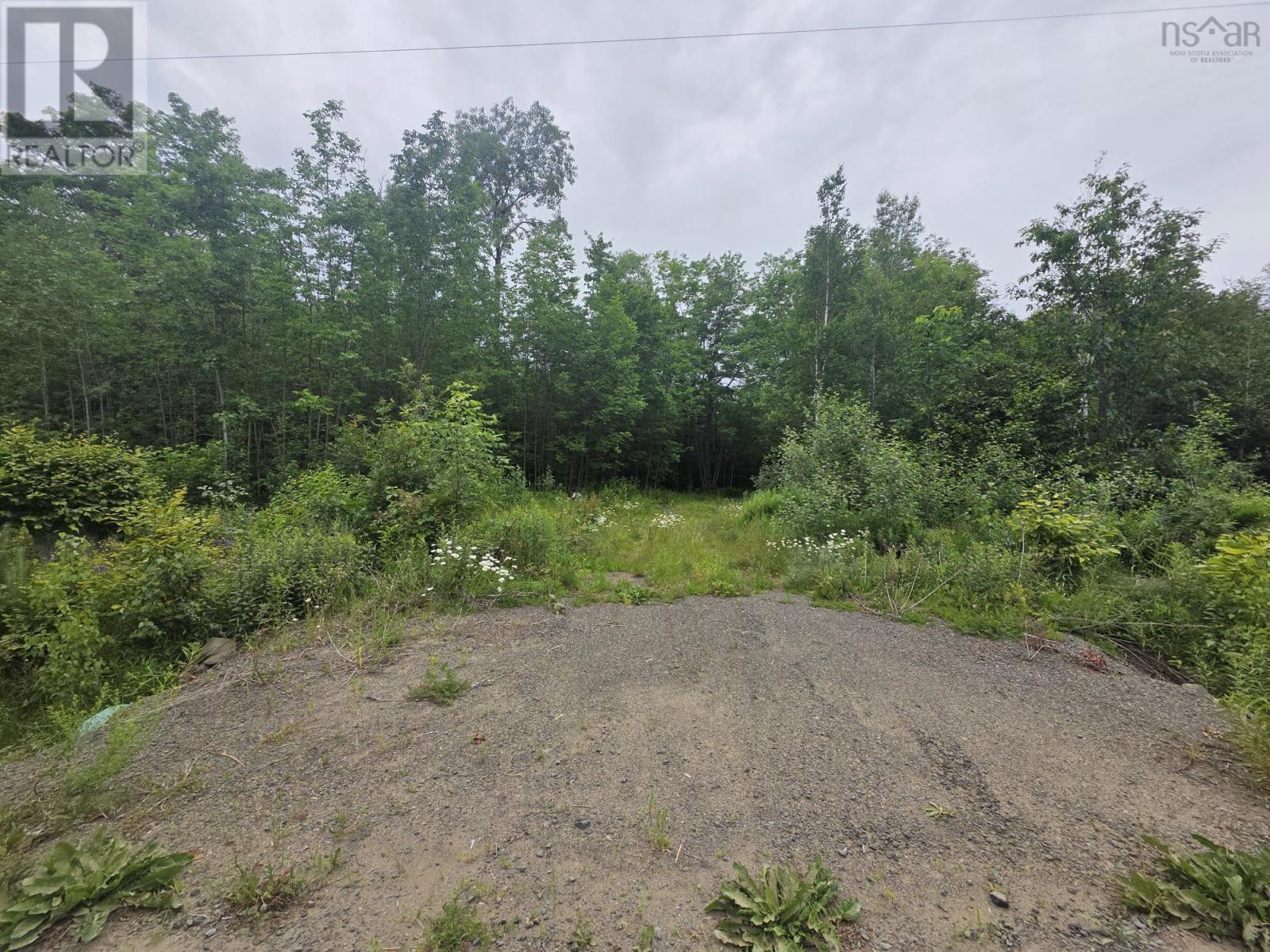 Clark Road, Bear River, Nova Scotia  B0S 1B0 - Photo 16 - 202515916